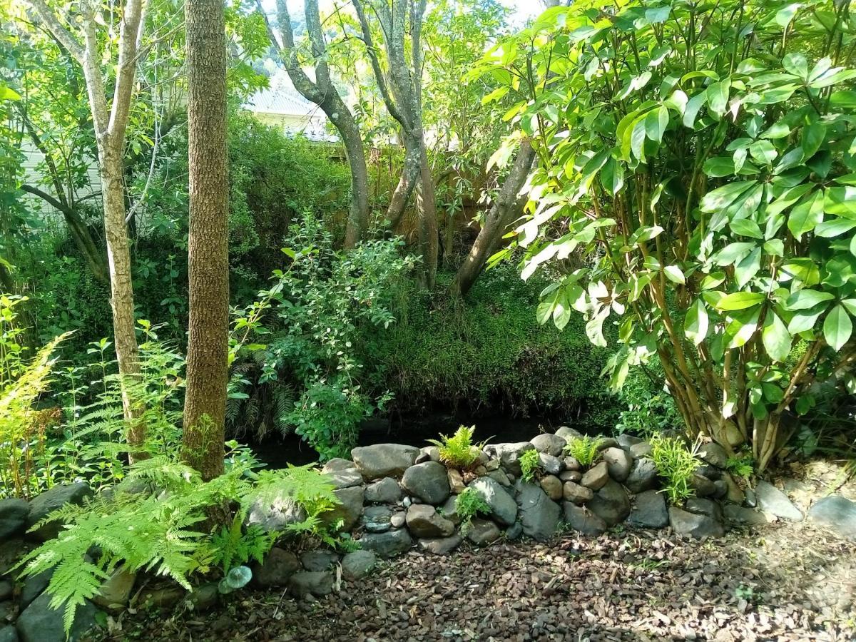 La Rochelle Motel Akaroa Εξωτερικό φωτογραφία