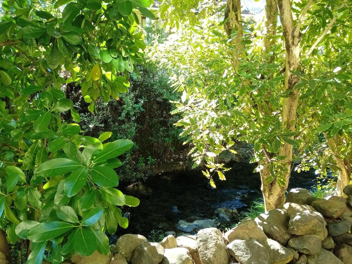 La Rochelle Motel Akaroa Εξωτερικό φωτογραφία